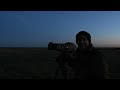 PHOTOGRAPHING SHORT EARED OWLS- MY BEST ENCOUNTER