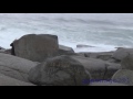 monster waves at peggys cove apr 3rd 2016