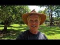 Self-sufficient Property Tour in Beautiful, Tropical, Far North Queensland, Australia 🌴🐓🐔🤠☀️