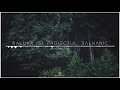 Raluka & Proiectul Balkanic - Magdalena (cover)