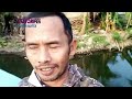 Maser ikan nila kreen di spot Raden Surosowan Banten