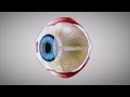 Glaucoma (Animation of Why It Happens and How It Can Cause Blindness)