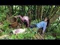 Mother and son harvest bamboo shoots goes to the market to sell & clean the house | Triệu Thị Dất