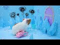 Hamster Look For The Missing Baby! Baby Got Lost | CHUCHU Hamster Story