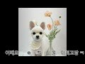 강아지목욕애견샵 다녀왔어요🐶🐶 #강아지일상 #강아지유튜브 #강아지먹방 #강아지반응 #강아지미용#동물농장#강아지목욕하는법