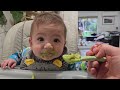 Alexander tries broccoli
