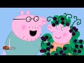 The Blackberry Bush 🫐 | Peppa Pig Official Clip