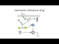 Cancer: Ivermectin an Potential Anticancer Drug #Code: 108