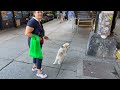 Astoria Queens Walking Tour - New York Street Virtual Walk 4k 60fps