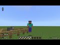 Minecraft: Name tag secerets