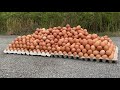 Experiment Car vs 1000 eggs!! | Satisfying | Crushing Crunchy & Soft Things by Car | Det Ex