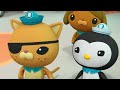 #Easter Octonauts - Spring Births | 90 Mins+ Special! | Cartoons for Kids | Underwater Sea Education