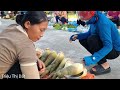 Mother son harvest bamboo shoots goes to the market to sell & Taking care of pets | Triệu Thị Dất