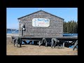 Beautiful day on the coast at Port Clyde  March 13, 2017