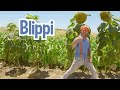 Blippi aprende sobre una alimentación saludable en la granja  | Videos de vehículos para niños