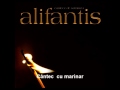 Nicu Alifantis - Cantec  cu marinar