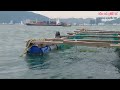 phong nguyễn QN, hôm nay 29/5 một mình like sô cá liệt thu, 🎣móm 🎣lọ nồi phê như con tê tê..hihi