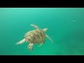 Snorkeling at Mabul-Kapalai, Semporna, Sabah, Malaysia