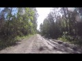 Woody Road Loop in Tiger Bay State Forest