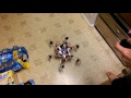 Hexapod robot