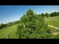 DJI Avata 2 Chase around the park. Flywoo Explorer