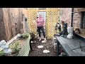 March GARDEN TOUR 🌷🌷🌷 || Spring Garden Tour || Walking Garden Tour