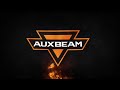 Auxbeam® New 3.8FT LED RGB Whip Lights with Turn Signal & Brake Light, Bluetooth APP/ Remote Control