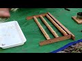 Queen rearing methods | Rarsing honey bee queens | Producing queen bees | Honey bees | Beekeeping