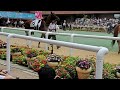 札幌競馬場2023/08/20