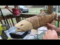 Wood Carving A Brown Trout Mounting Fins and Eyes