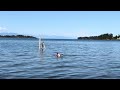 Swimming at Rathtrevor Beach