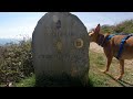 Hunting dogs' cliff path adventure