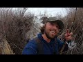 EXPLORING and FISHING a SKETCHY Creek for TROUT!! (Catch & Cook)