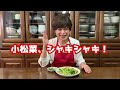 小松菜しゃきしゃき、卵ふんわり。和風の旨味からむ極上炒め物。誰でも失敗なく作れるコツを紹介します。＜小松菜と卵の和風炒め＞