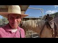 Bar Diamond Cows Drift To The Bears Ears/Leaving The Rough Country