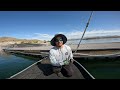 Chasing STRIPER BOILS at Lake Pleasant!