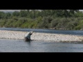 Bighorn River Tricos