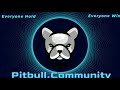 🚨 Está Criptomoneda nos Hará MILLONARIOS!? Pitbull Token { PIT } posible x100 en los próximos días 🤑