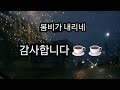 #봄비/원곡박인수/커버영역화백/봄비가 내리네