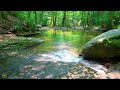 Fall Asleep Naturally with Soothing Waterfall Sounds and Peaceful Birds Singing