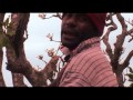 Junior Insects - Mosong Pikinini [OFFICIAL Music Video]