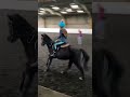 Horse riding lesson