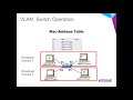 Advanced VLAN Setup | Business