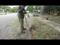 PEOPLE were FORCED to NOT use this SIDEWALK because of BIG TREE BRANCH BLOCKING it