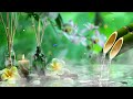 Relaxing Piano Music - Bamboo Fountain, Sleep Music, Meditation Music, Water Sounds, Yoga, Spa & Zen