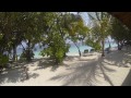 Vilamendhoo, Maldives. GoPro with Whale Shark, Turtles and Coral Reefs