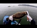 Shelter Island San Diego Bay Fishing Halibut Spotted Bass Hobie Kayak Fishing