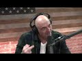 Joe Rogan and Rashad Evans Compare DMT Experiences