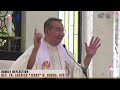 𝗡𝗢 𝗣𝗔𝗜𝗡, 𝗡𝗢 𝗚𝗔𝗜𝗡 | Homily 28 April 2024 with Fr. Jerry Orbos, SVD on Fifth Sunday of Easter