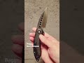 The spectacular Begg Mini  Glimpse #edc #subscribe #ytshorts #viral #womencarryknives